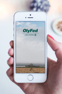 Hand holding phone that shows the OlyFed Card Control app